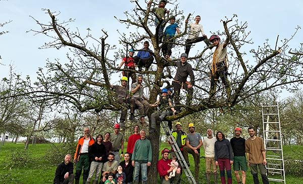 1-jährige Ausbildung zur Baumwartin / zum Baumwart