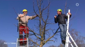 ARD Kurzreportage über die Obstbaumschnittschule